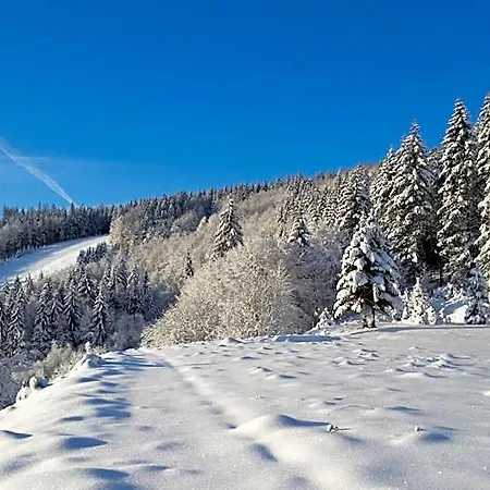 Gut Lilienfein - Gesundheitsoase Mit Naturheilzentrum Отель 4*